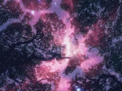 Nature's Sound Sleep - Windy Forest Pink Noise - 8 Hr