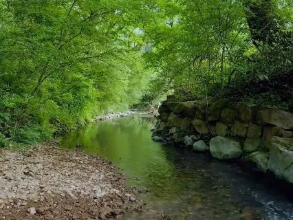 The Brook That Babbles Your Thoughts Away