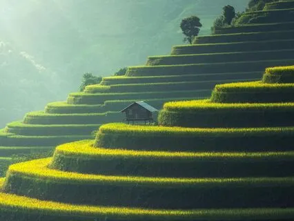 Nature’s Way: Embracing Effortless Generosity