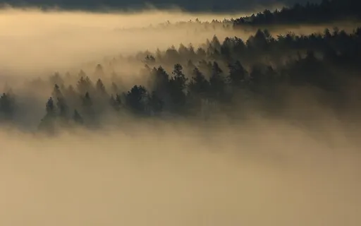 Nature Sound: Brown Noise