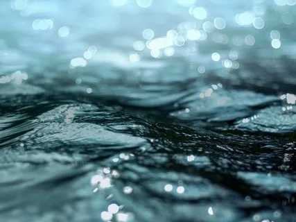 Nature Sounds: 30 Minutes - Night On The Beach With Seagulls & Thunder