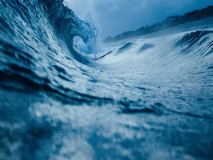 Nature Sounds: Abundant Ocean