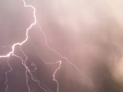 Nature Sounds: Bird Songs in the Rain with Thunder