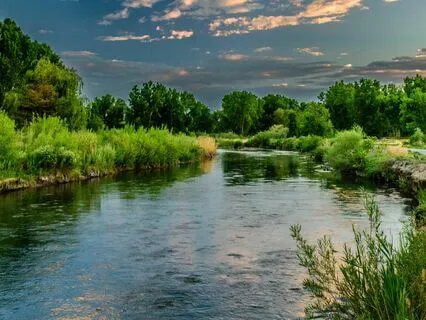 Relaxing Ambiance_Nature Sounds: Birds and River