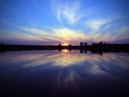 Calm Night Sounds For Relaxation & Sleep