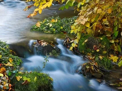 Nature Sounds: Cascading Mountain Stream