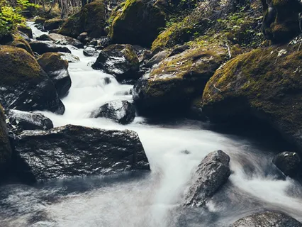 Nature Sounds: Flowing Stream