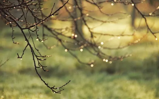 Nature Sounds For Getting Things Done: Rain In The Forest