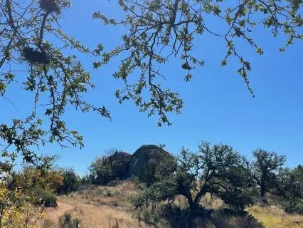 Nature Sounds For Relaxation