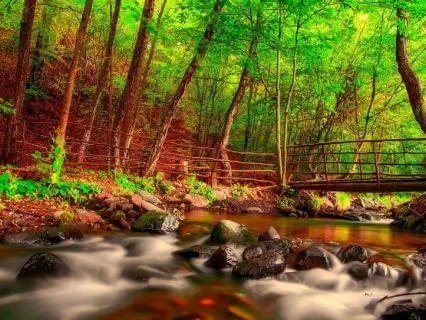 Nature Sounds For Sleep And Relaxation: Stream