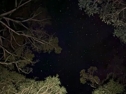 Nature Sounds For Sleep & Relaxation: Frogs At Night