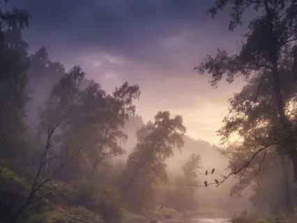 Nature Sounds For Sleeping And Stress Relief