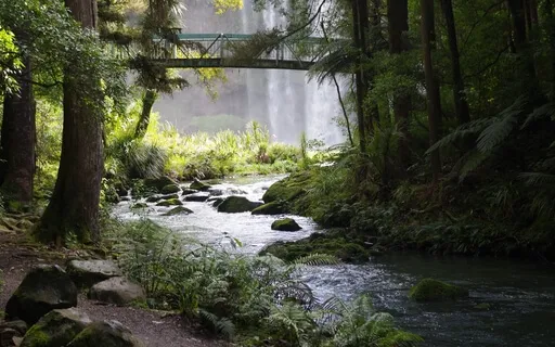 Nature Sounds: Forest River & Birds Soothing