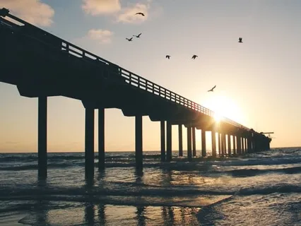 Nature Sounds: Garden Birds - For Relaxation & Sleep