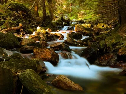 Nature Sounds: Gentle Stream with Delta waves