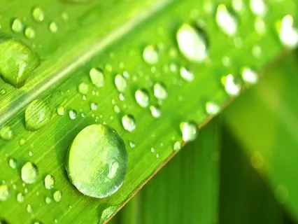 Nature Sounds: Heavy Night Rain On The Beach