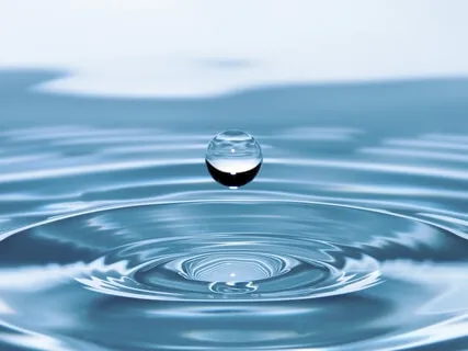 Nature Sounds: Hot Springs Of Mataranka