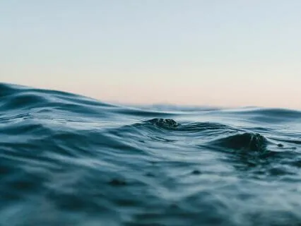 Nature Sounds: Morning Ocean With Seagulls 2-Hours