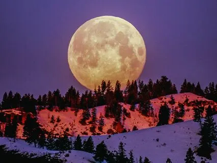 Nature Sounds: Night River | Flowing Stream | 2.5 hours