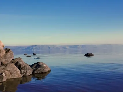 Nature, Wake Up To The Sounds Of A Flowing Stream And Birds Singing: Sound Therapy