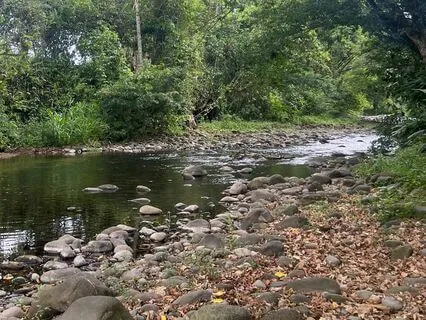 Nature Sounds On A Costa Rica River