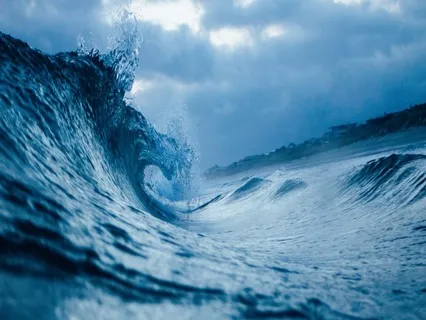  Nature Sounds: Playful Dolphins In Water