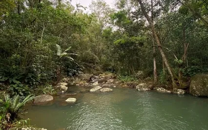 Nature Sounds - Rainforest Waterfall In Brazil 