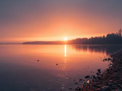Nature Sounds: Solitude At The Water's Edge