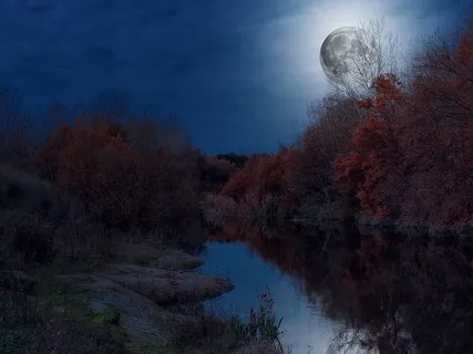 Nature Sounds: Water Flow For Relaxation