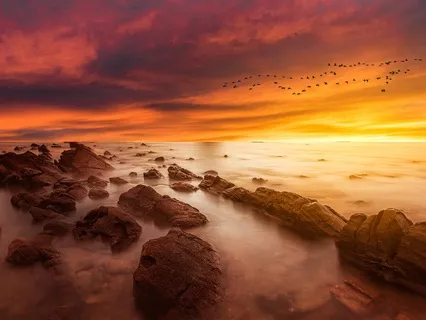 Nature Sounds: Welsh Dawn Coastal Harmony