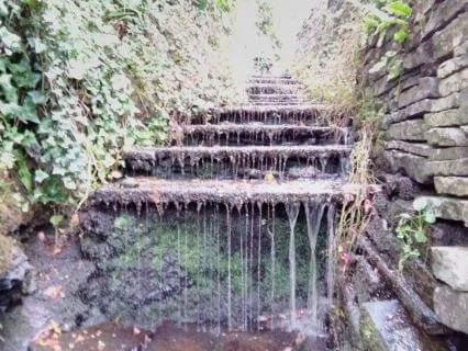 Nature Sounds: Woodland Brook For Focus And Flow (1hr)