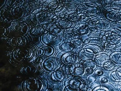 Nature Sounds: Woodland Brook For Peace And Flow (10 Mins)