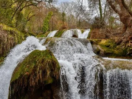 Nature Sounds: Woodland Brook For Peace And Flow