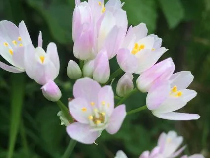 Nature Soundscape Heavy Rain On Conservatory Roof