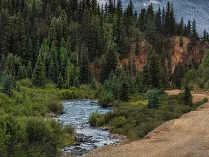 Nature Stream For Stress, Sleep & Relaxation | 30 Minutes