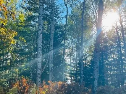 Nature: The Beauty & Majesty Of God's Creation