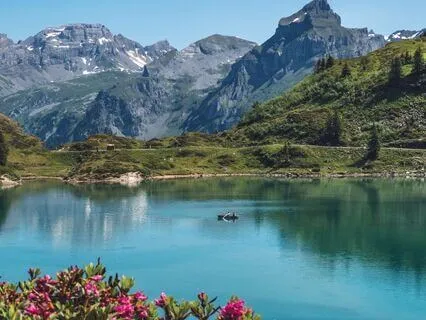 Nature The Mind Cleanser