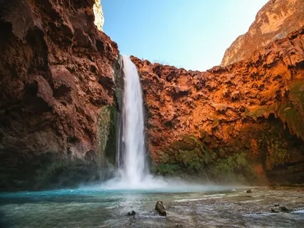 Nature Therapy: The Power Of Plants, Crystals & Animals