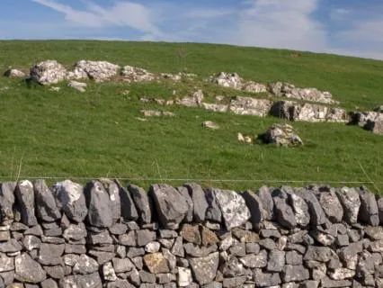 Nature Visualisation To Bring Relaxation And Calm