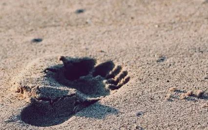 Nature Walking Meditation