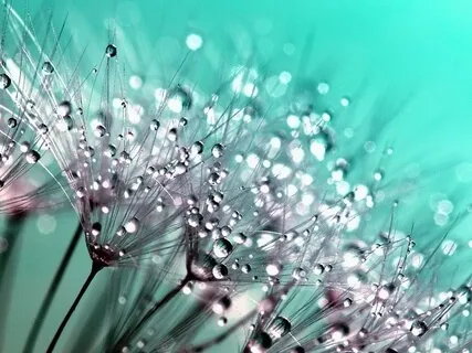 Nature's Delicate Tones