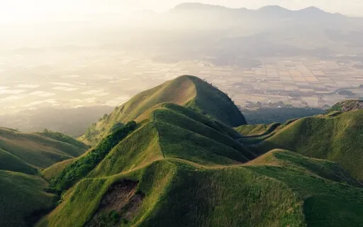 Nature's Symphony: The Ambient Sounds Of A Forest