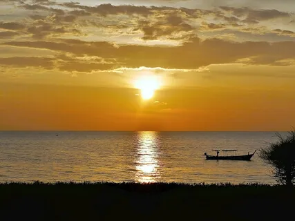 Naturgeräusche: Frösche und Vogelstimmen beim abendlichen Konzert in Thailand