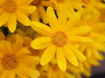 Naturklänge mit Musik für Massage, Reiki, Tai Chi & QiGong