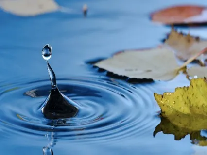 Natural Sounds With Music For Meditating, Healing, Relaxing & Falling Asleep