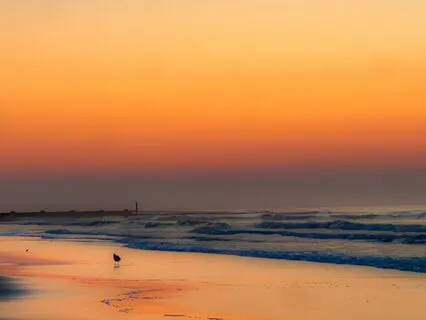 Navigating A Panic Attack