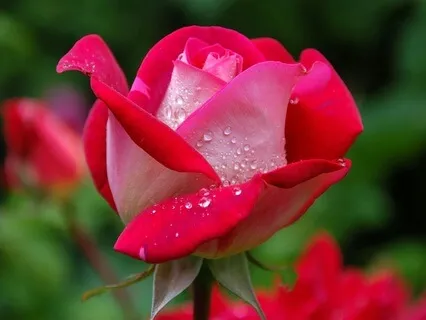 Navigating Boundaries With Your Inner Compass - June 23