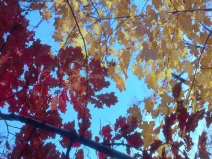 Navigating Challenges - Day 7 - Life Is Change