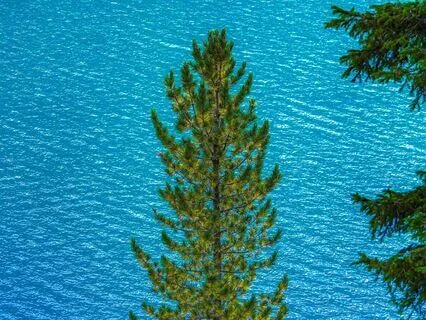 Navigating Change And Calming The Ego