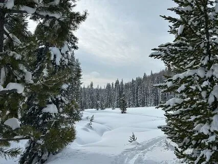 Navigating Change & Uncertainty